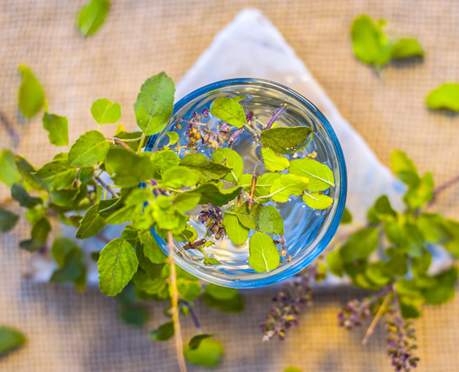 tulsi-water-benefits-three.jpg