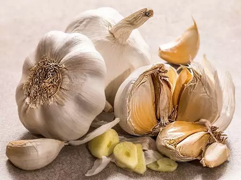 garlic.jpg