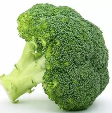 broc.JPG